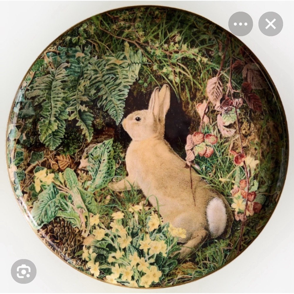 Anthropologie Terrain Printed Archival Tray Enamel Woodland Bunny Rabbit Round